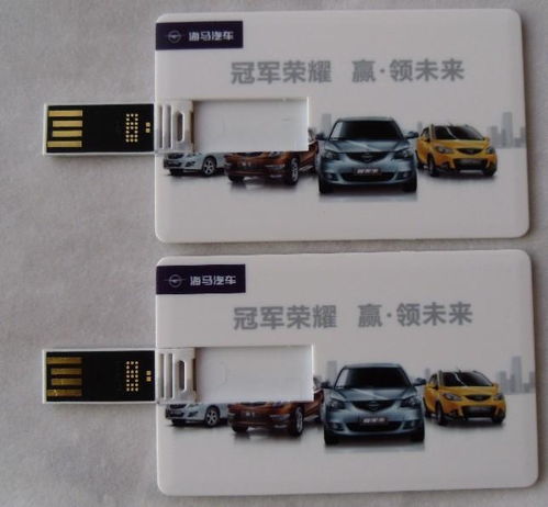 展会礼品广告U盘定制，专业软件开发服务助力企业品牌推广